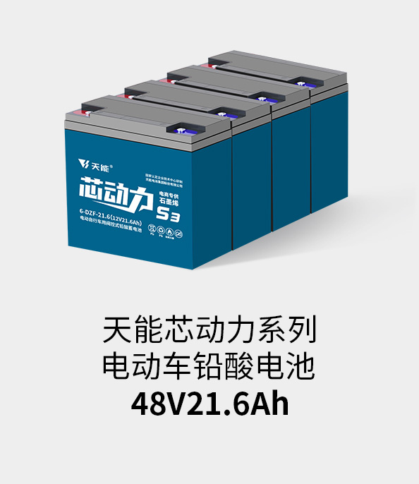 尊龙凯时电池48v20ah